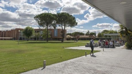 Las mejores universidades de España, según Forbes: por sus aulas pasaron el rey y Pedro Sánchez