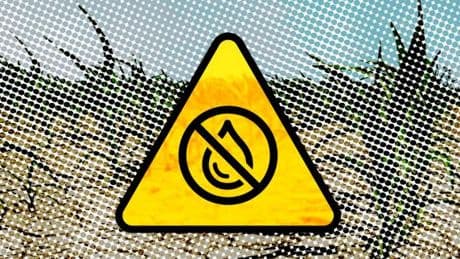 La Corse-du-Sud placée en alerte sécheresse, avec des restrictions de l’usage de l’eau