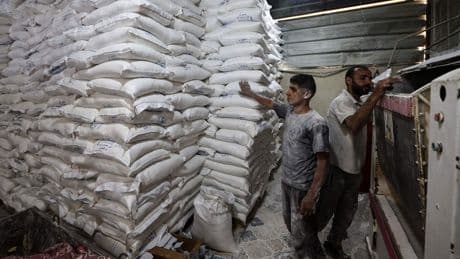 Mueren de hambre al menos 29 personas, la mayoría niños y ancianos,  en los dos últimos días en Gaza