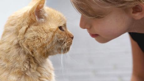 Bester Freund: So zeigen Sie Ihrer Katze mit nur einer Geste, dass Sie sie lieben