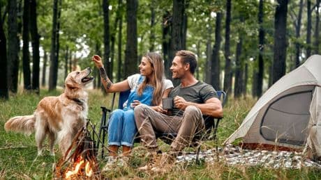 Hundefreundliche Campingplätze: Top 10 von Ostsee bis NRW entdecken
