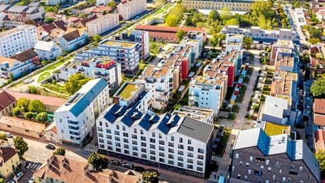 « L’écoquartier est la “ville roseau” du XXIe siècle »