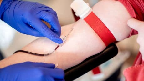Gesundheit: Rotes Kreuz wirbt um Blutspenden - auch junge Leute gefragt