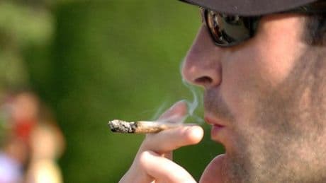 Automedicarse para el dolor con marihuana aumenta el riesgo de sufrir paranoia