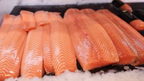 Die deutsche Liebe zum Lachs übersteht sogar das Parasiten-Problem