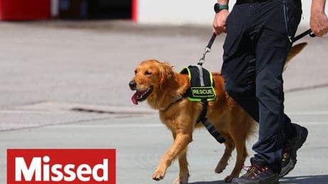 What to do when someone goes missing abroad as experts list three key actions