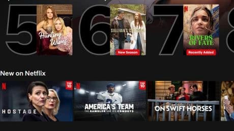 Netflix’s Best New Show Has A Certified 100% Rotten Tomatoes Score
