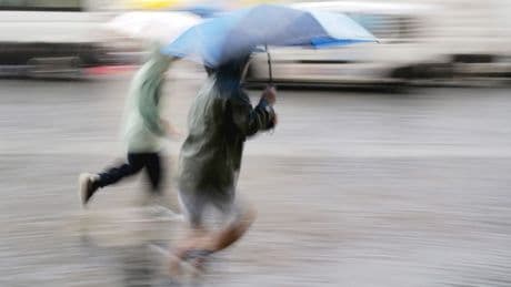 Wetter in Deutschland: DWD – Unwetterwarnung vor heftigem Starkregen