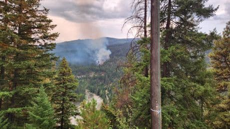 Fortis plan to reduce wildfire risk across Southern Interior raises other safety concerns