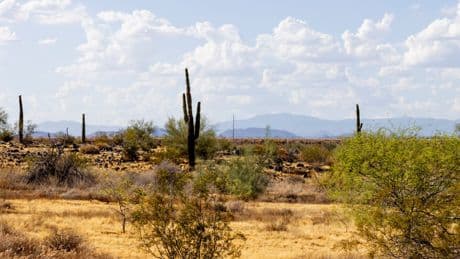 Rare Early June Rainfall Could Reach Phoenix