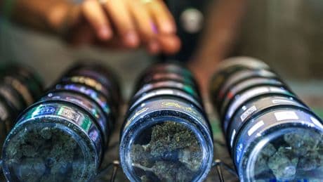 El consumo de cannabis entre adolescentes se reduce un 40% en las dos últimas décadas