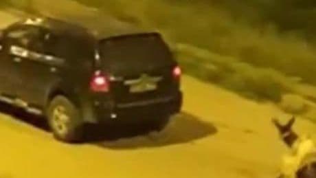 Yürekleri dağlayan manzara büyük tepki topladı! Ceza yağdı