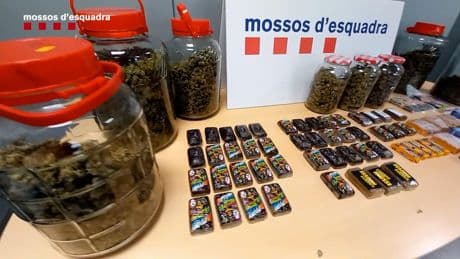 Los Mossos detienen a dos hermanos en Sant Joan Despí con 15,7 kilos de hachís y marihuana