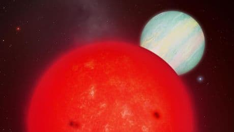 Desconcierto científico tras el hallazgo de un planeta gigante orbitando una estrella diminuta