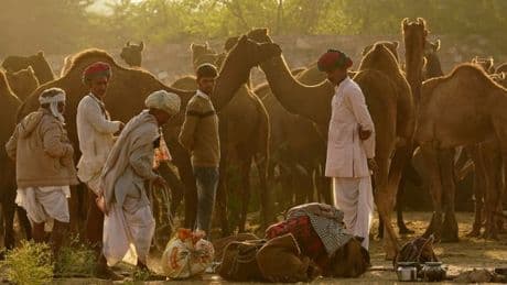 "Sauf raison impérative": la France déconseille de se rendre au Rajasthan en Inde malgré le cessez-le-feu avec le Pakistan
