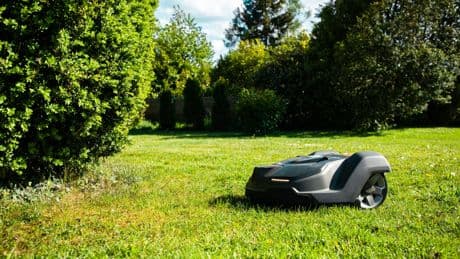 Rasen mähen ohne Aufstehen: So steuern Sie Ihren Mähroboter mit Alexa