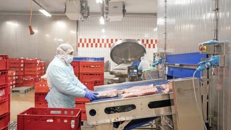 Rinderschlachthöfe: Übernahmekampf in der Fleischindustrie