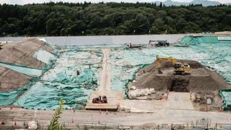 »Leicht radioaktiv«: Japan will Fukushima-Erde für Beete vor dem Büro des Premierministers verwenden