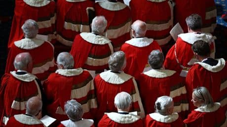 Hereditary peers make last-ditch plea to be spared in ‘ruthless purge’ of Lords