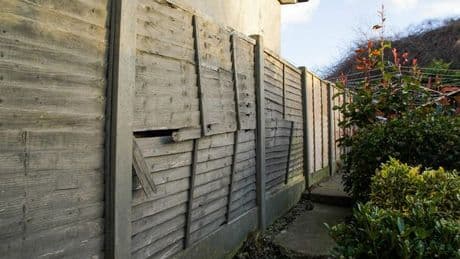 Gardeners urged to drill holes in fences before summer is over