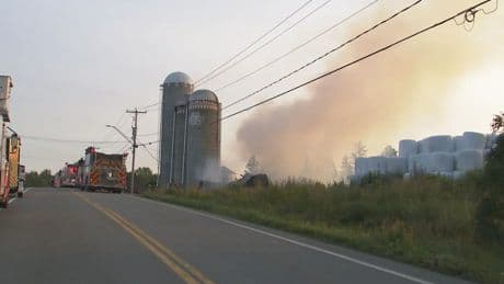 Barn destroyed, nearly 80 cows dead after fire at Rimouski, Que. farm