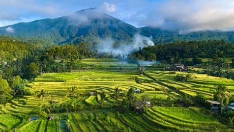 Indonésie : Bali victime d’une coupure massive d’électricité