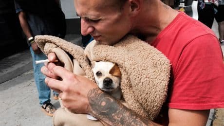Un nuevo estudio vincula la exposición al humo del tabaco con problemas de agresividad en perros