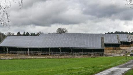 Agriculture : le préfet de Haute-Vienne autorise un projet controversé de mégaferme bovine