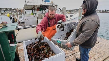 Fishermen battling with changing oceans chart new course after Trump's push to deregulate
