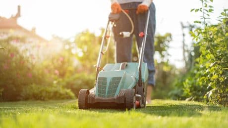 Garten-Pflege vor dem Urlaub: Wie Sie Wildwuchs effektiv verhindern