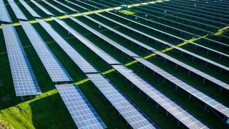 Plans for Perthshire solar farm the size of 140 football pitches refused