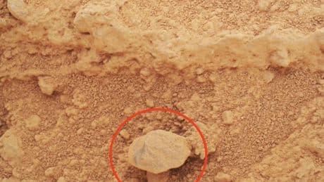 Expert gives verdict on ‘wrinkled mushroom’ spotted on Mars