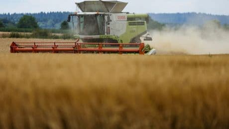 Nächste Tage entscheiden - Bauern hoffen für Ernte auf Sonne