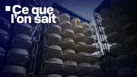 Deux morts, rappel massif de fromages... Ce que l'on sait de la probable contamination à la listériose