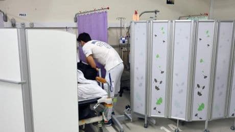 Chikungunya : six morts liés à l’épidémie recensés à La Réunion depuis le début de 2025