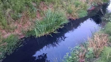 Karadeniz’de sanayi atıkları dereyi zehirledi