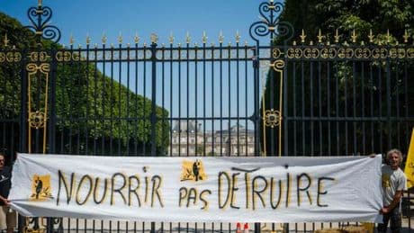 Censure partielle de la loi Duplomb : l’environnement sain, un droit constitutionnel