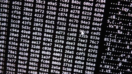 Große Darknet-Handelsplattform abgeschaltet