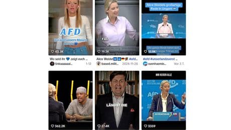 AfD und Social Media in China | Alice Weidel auf Xiaohongshu