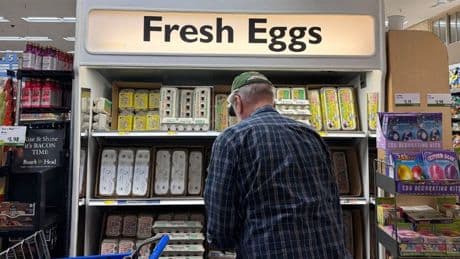 One of the nation’s largest egg producers has lost 95% of its chickens to bird flu. It could spell price hikes