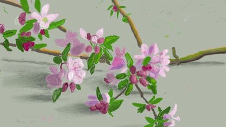 Hockney, Ono, Hahnenkamp: Diese sieben Ausstellungen sind nur noch diese Woche zu sehen