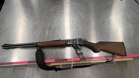 Cochrane RCMP seize weapons and stolen vehicle, lay more than 60 charges