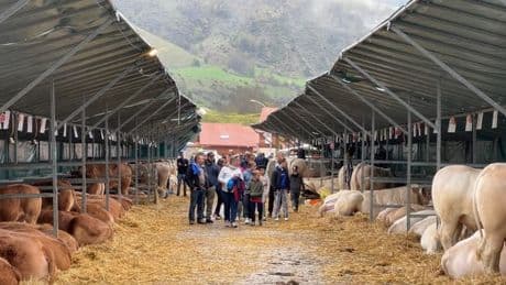 Concours, animations, mini ferme… succès pour le 6e salon de l'élevage haut-alpin à Ancelle