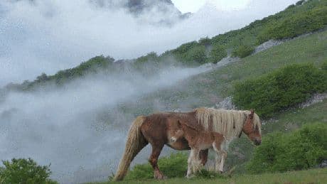 Un septiembre para perderse en el parque de Gorbeia: rutas, visitas a cuevas, baserris...