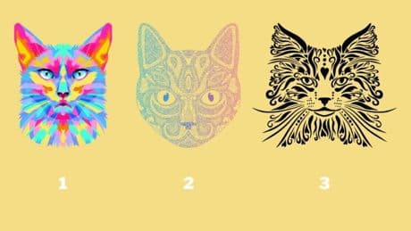 Kişilik testi: Bir kedi seçin! Güven ve şüphe seviyenizi keşfedin!