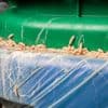 Madenplaag in je groencontainer? Zo maak je er komaf mee