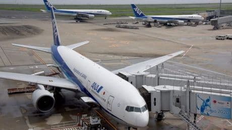 Passenger 'risks safety of all onboard flight' with terrifying act before emergency landing