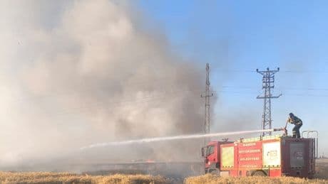 Mardin'de 155 dönüm ekili buğday yandı
