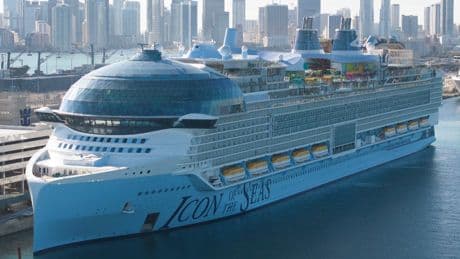 Royal Caribbean crew member stabs coworker before jumping overboard: police