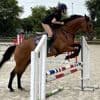 Dans les bottes d’un cavalier : j’ai testé pour vous le saut d’obstacles à Deauville